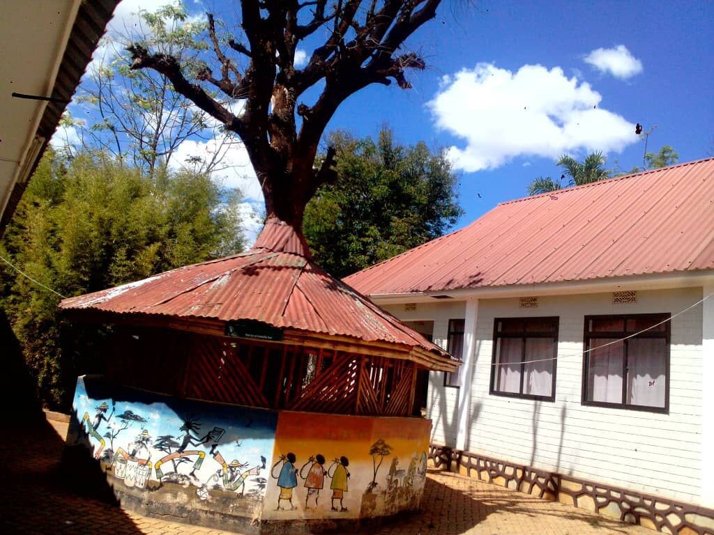 Ango Tree Lodge