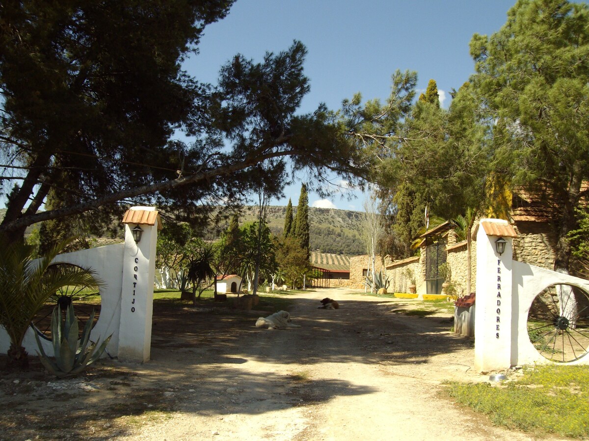 Cortijo Ferradores 2