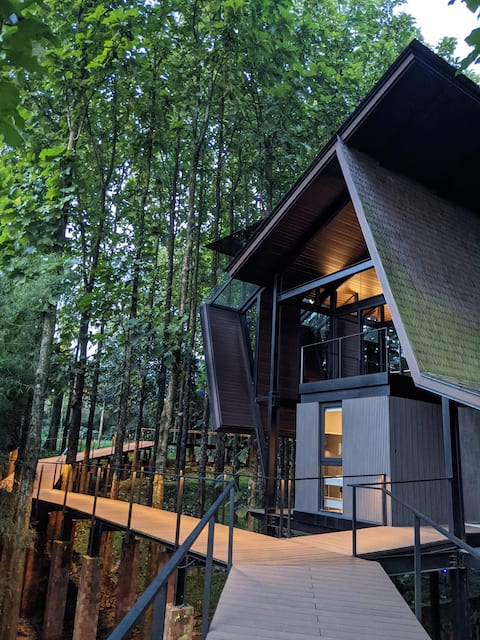 treehouse in the forest