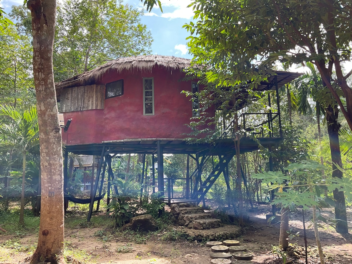 Eco elephant shit fan bungalow Blue Lagoon Resort