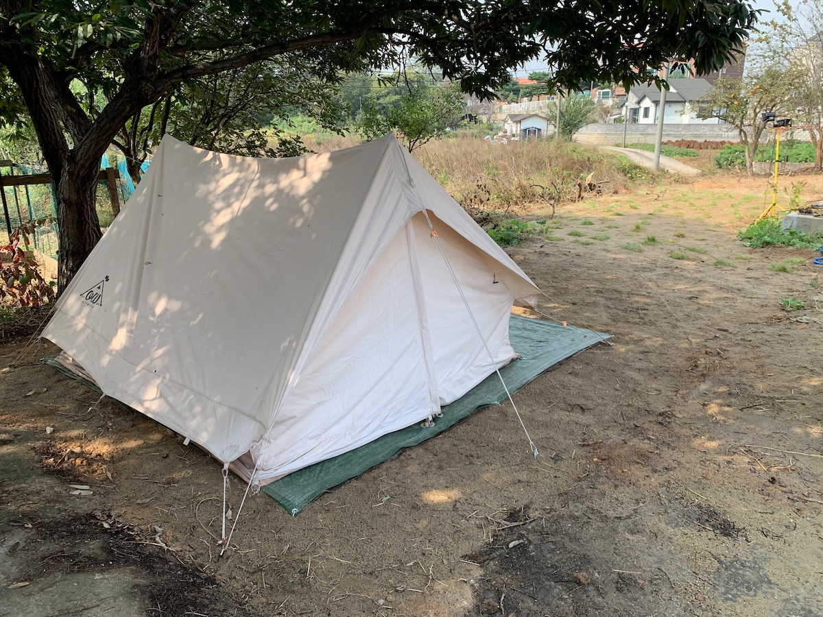 航空营地帐篷