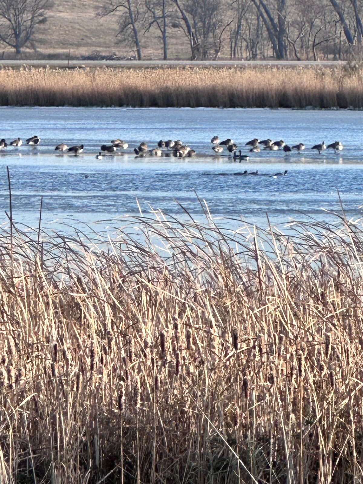 Lake Kampeska’s Sweet Spot