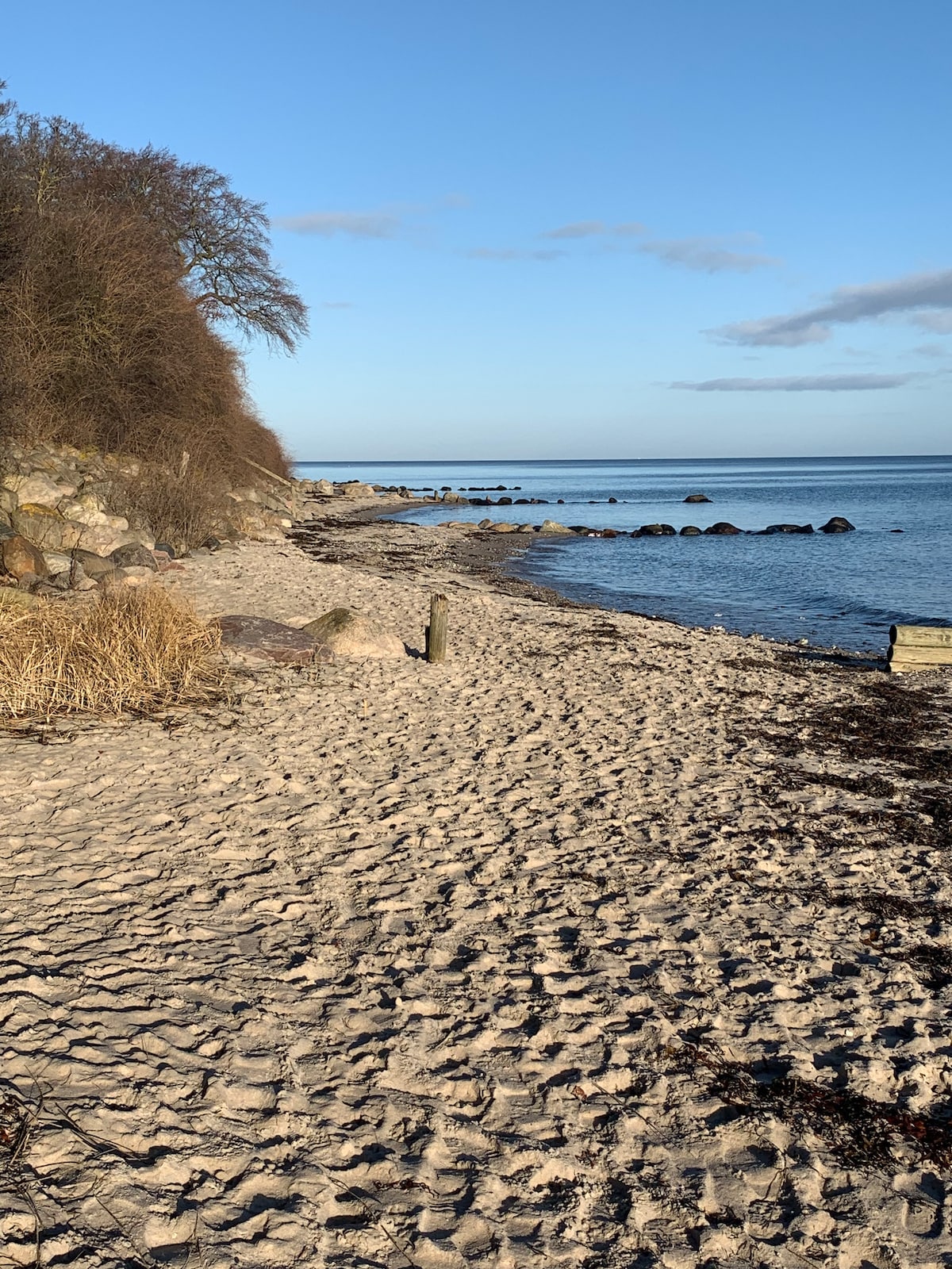 2 Værelser med køkken og bad, ved skov og strand