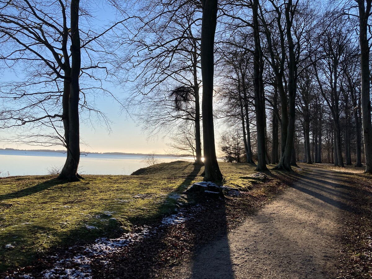 2 Værelser med køkken og bad, ved skov og strand