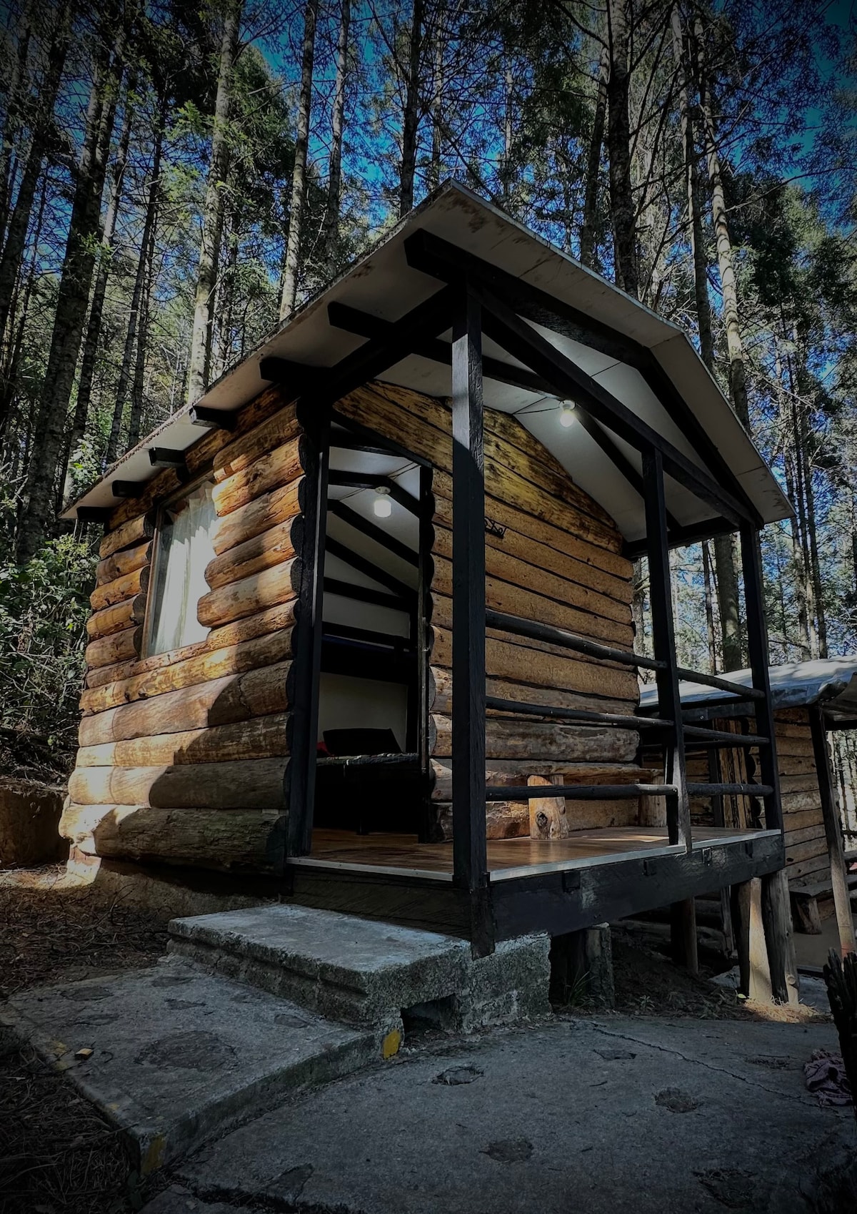 Cabañita en el bosque 2