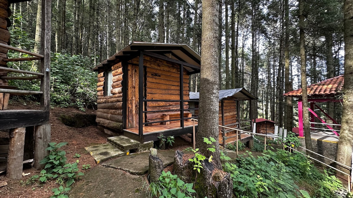 Cabañita en el bosque 2