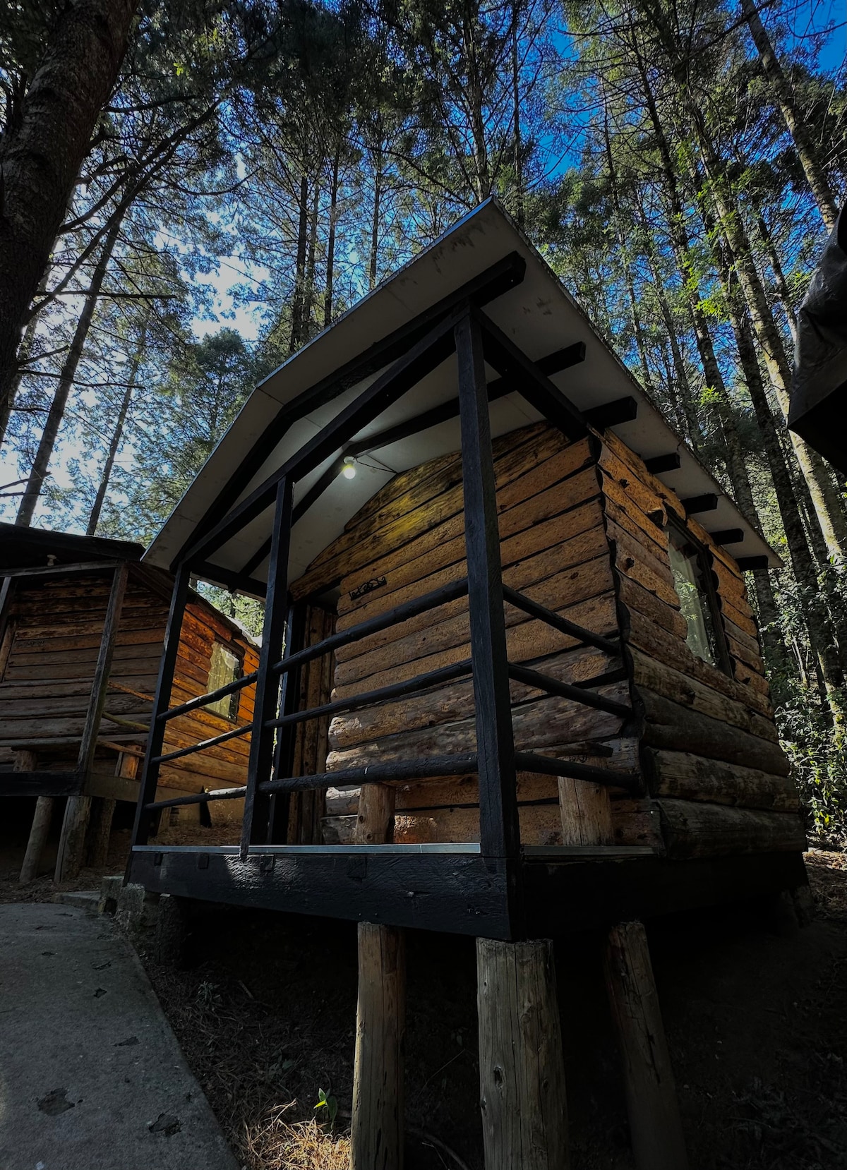 Cabañita en el bosque 2