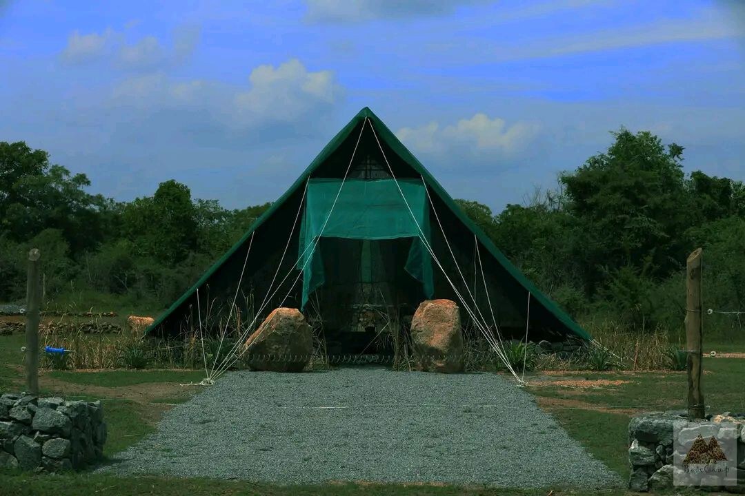 亚拉本营（ Base Camp ） -亚拉（ Yala ）的野生动物园