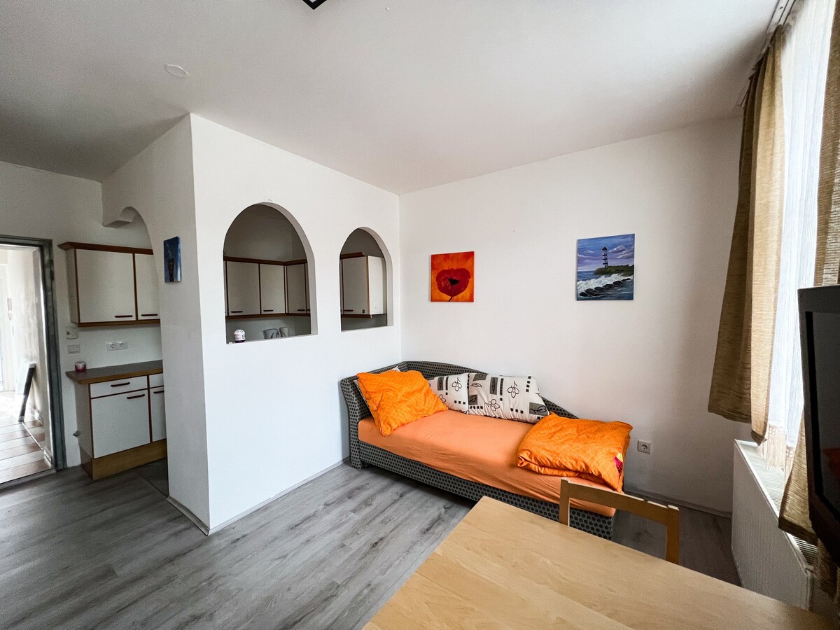 Cozy Apartment near of Vienna