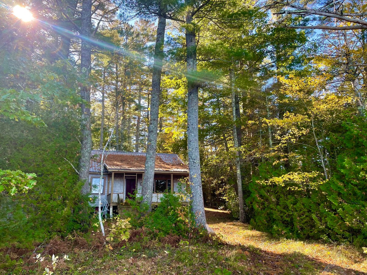 Peaceful Down East Lake cabin