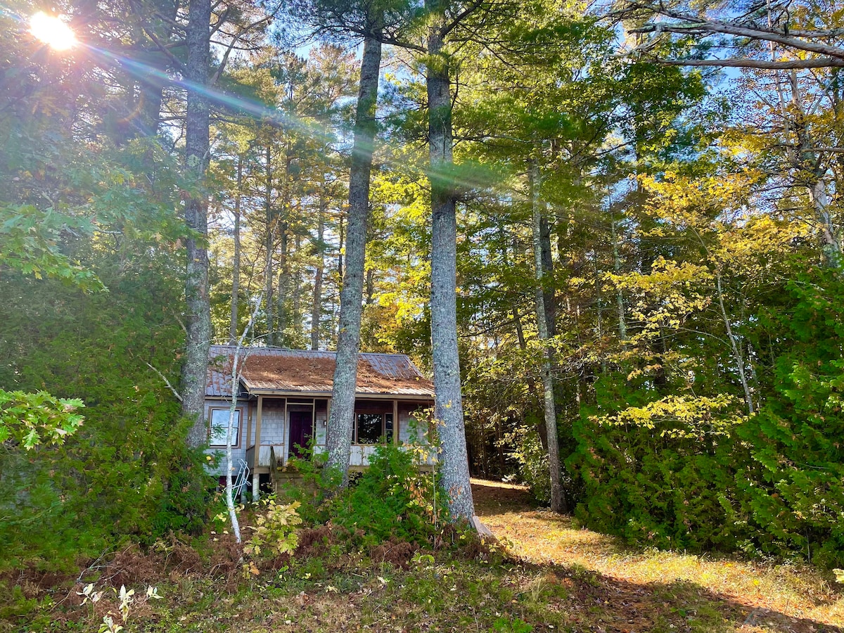 Peaceful Down East Lake cabin