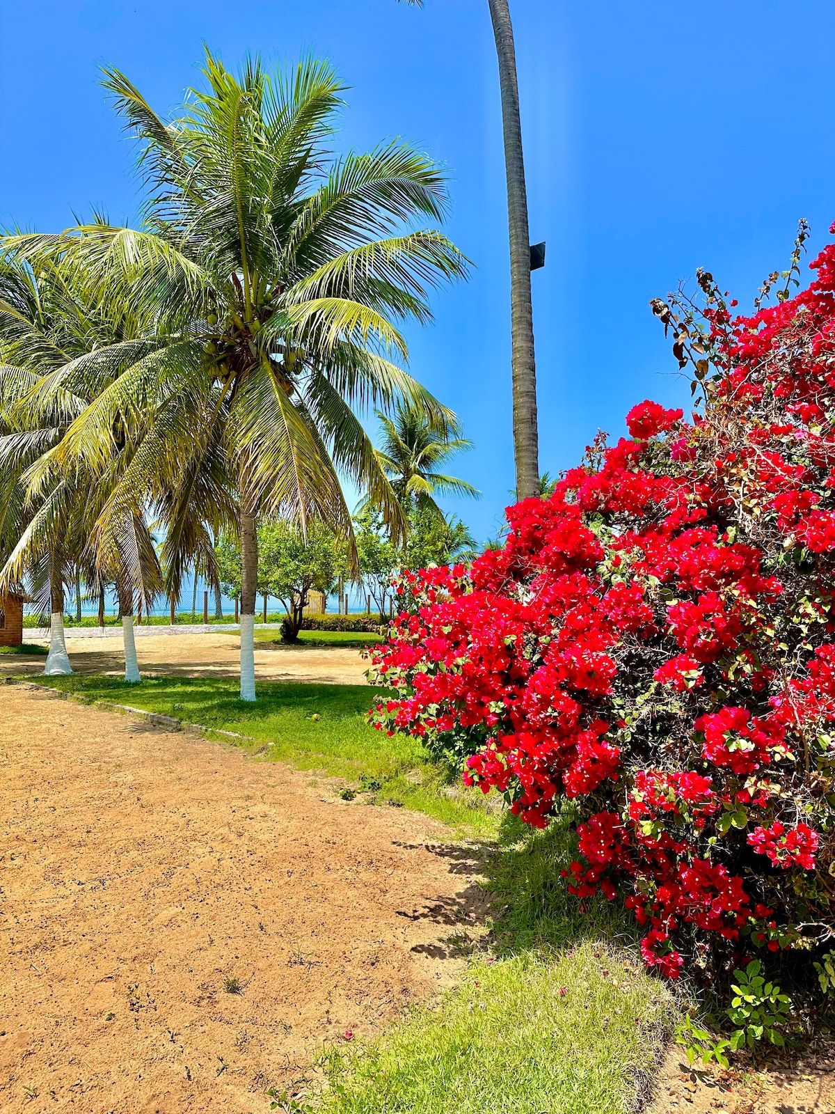 Reserva dos coqueirais