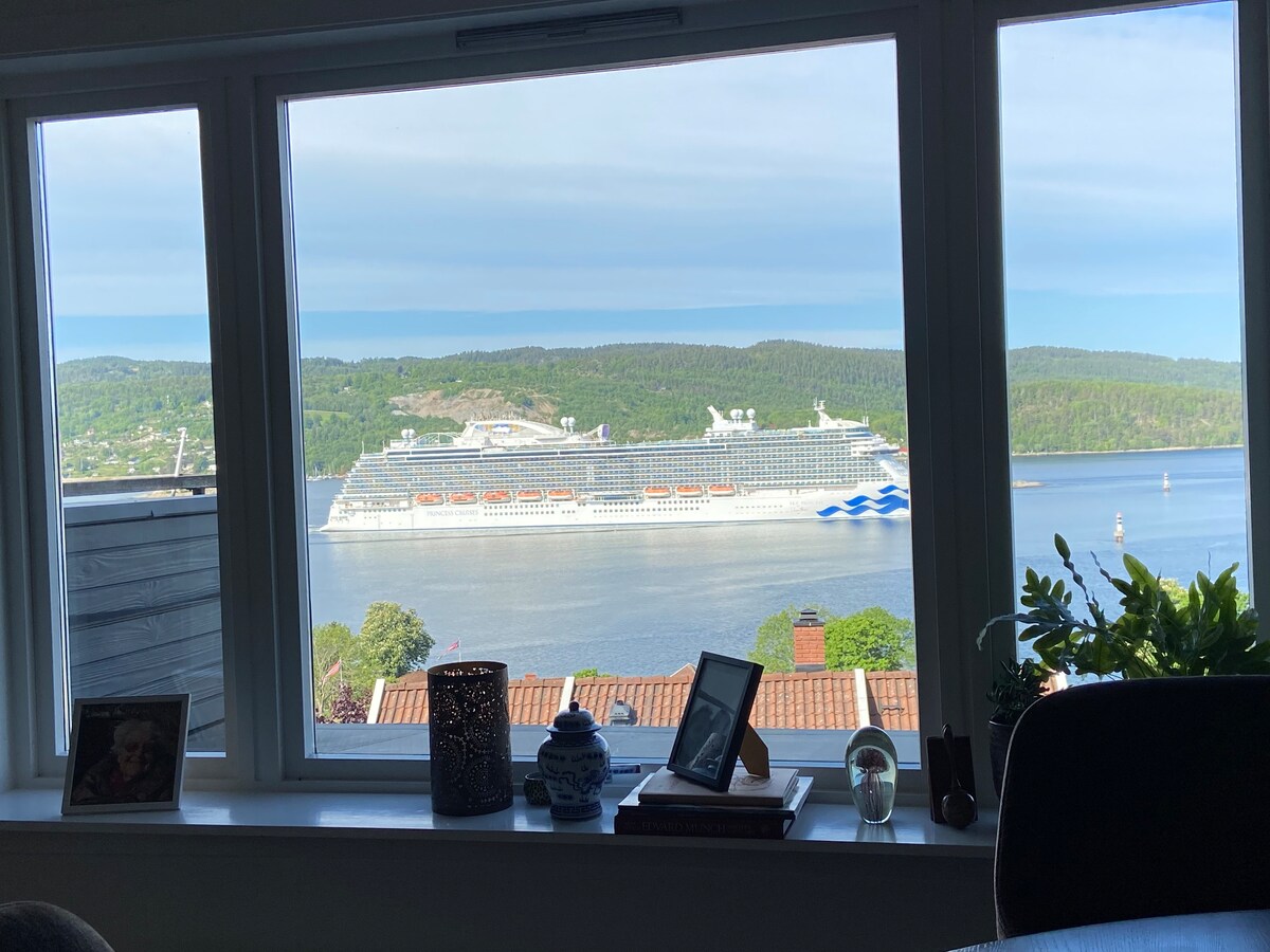Fantastisk utsikt over fjorden
