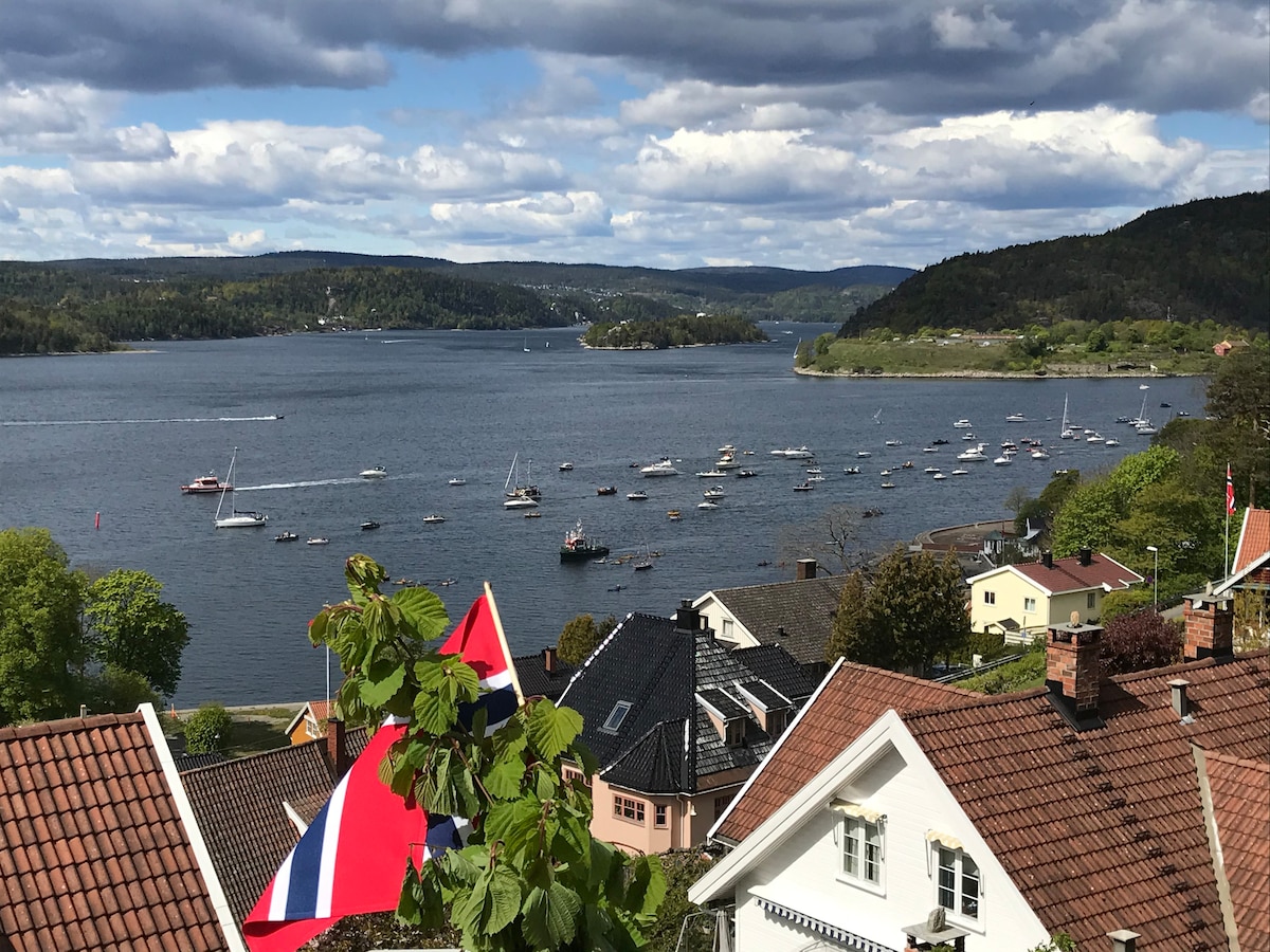Fantastisk utsikt over fjorden