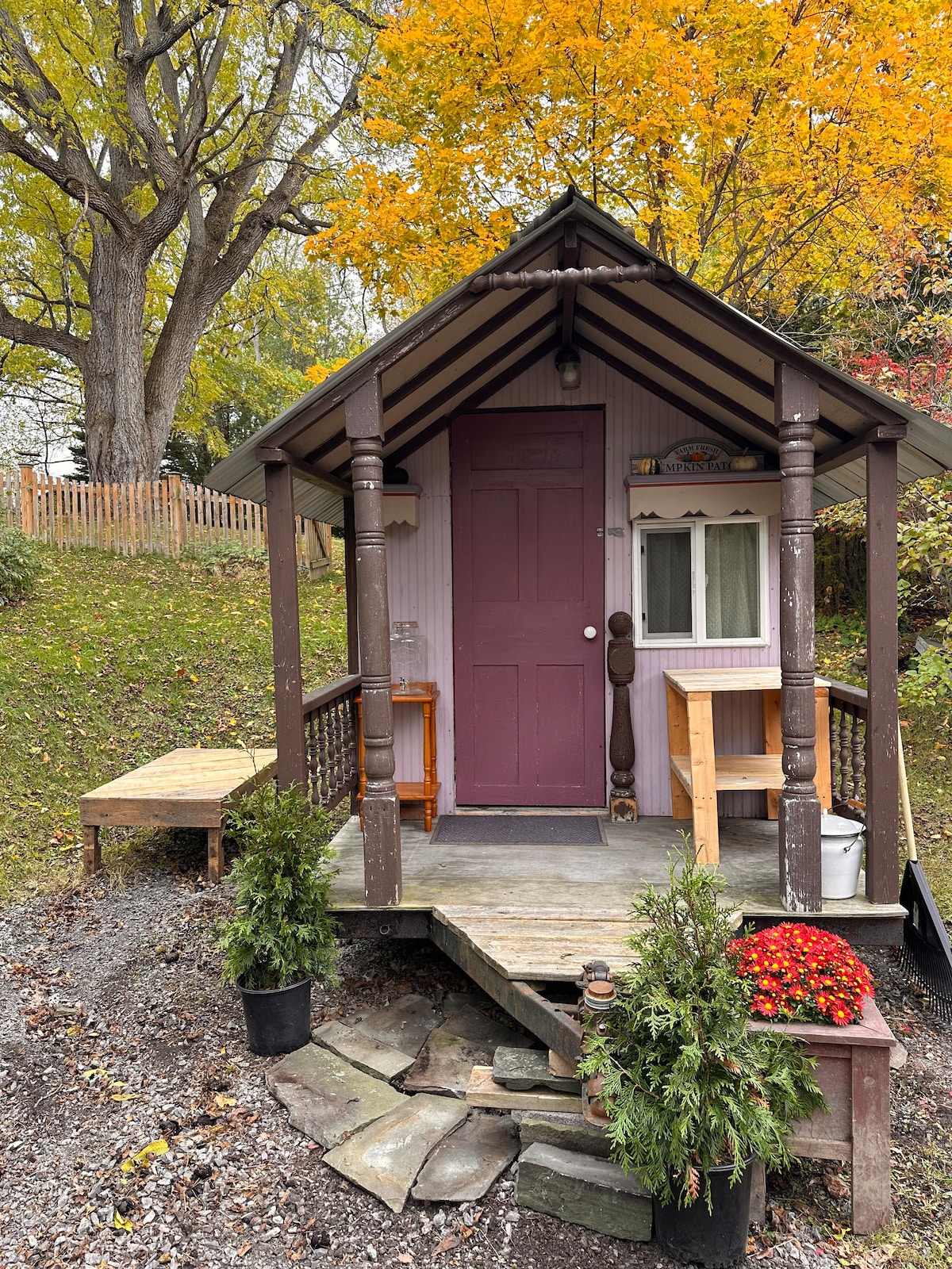 Tiny home Glamping $320/wk