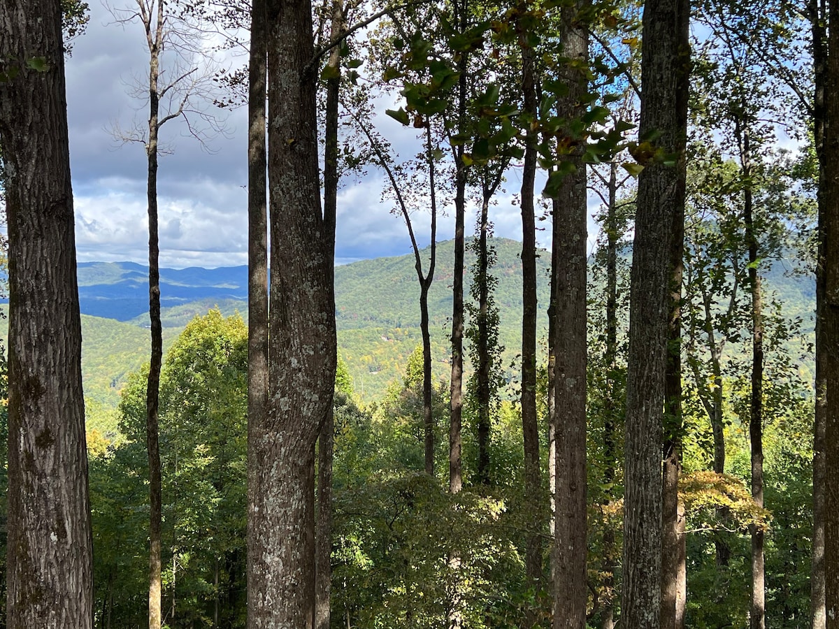 Beautiful Views Updated Cabin in Walnut Mountain