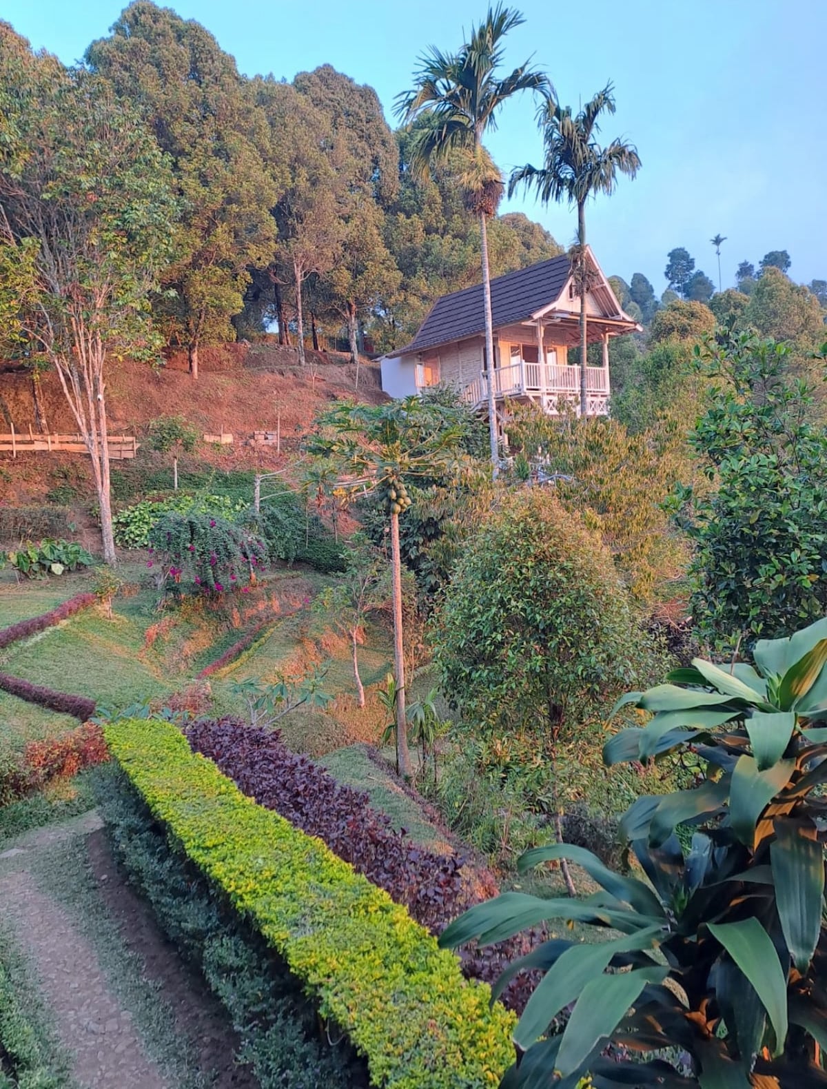Garden Terrace Bali