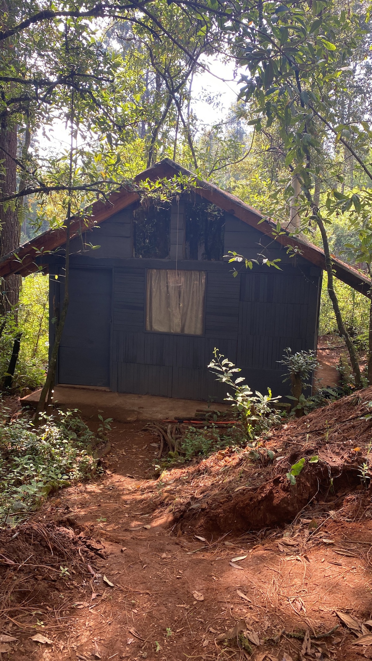 Cabaña nativo 1, Valle de Bravo