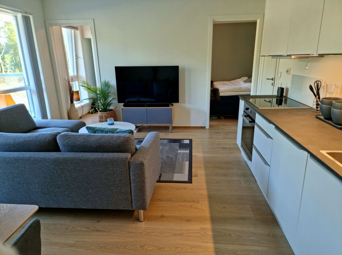 特罗姆瑟（ Tromsø ）舒适公寓