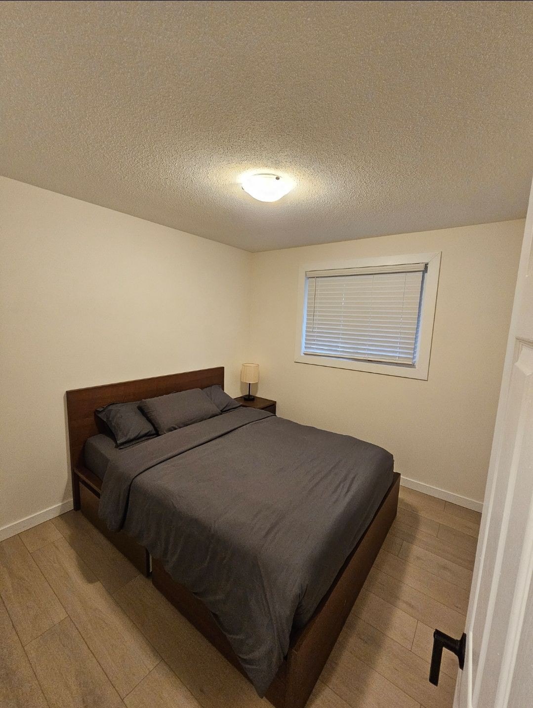 全新装修舒适干净的2卧室现代绿洲！