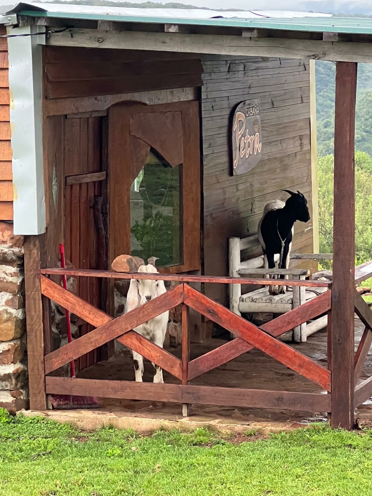 Vida típica en el campo.