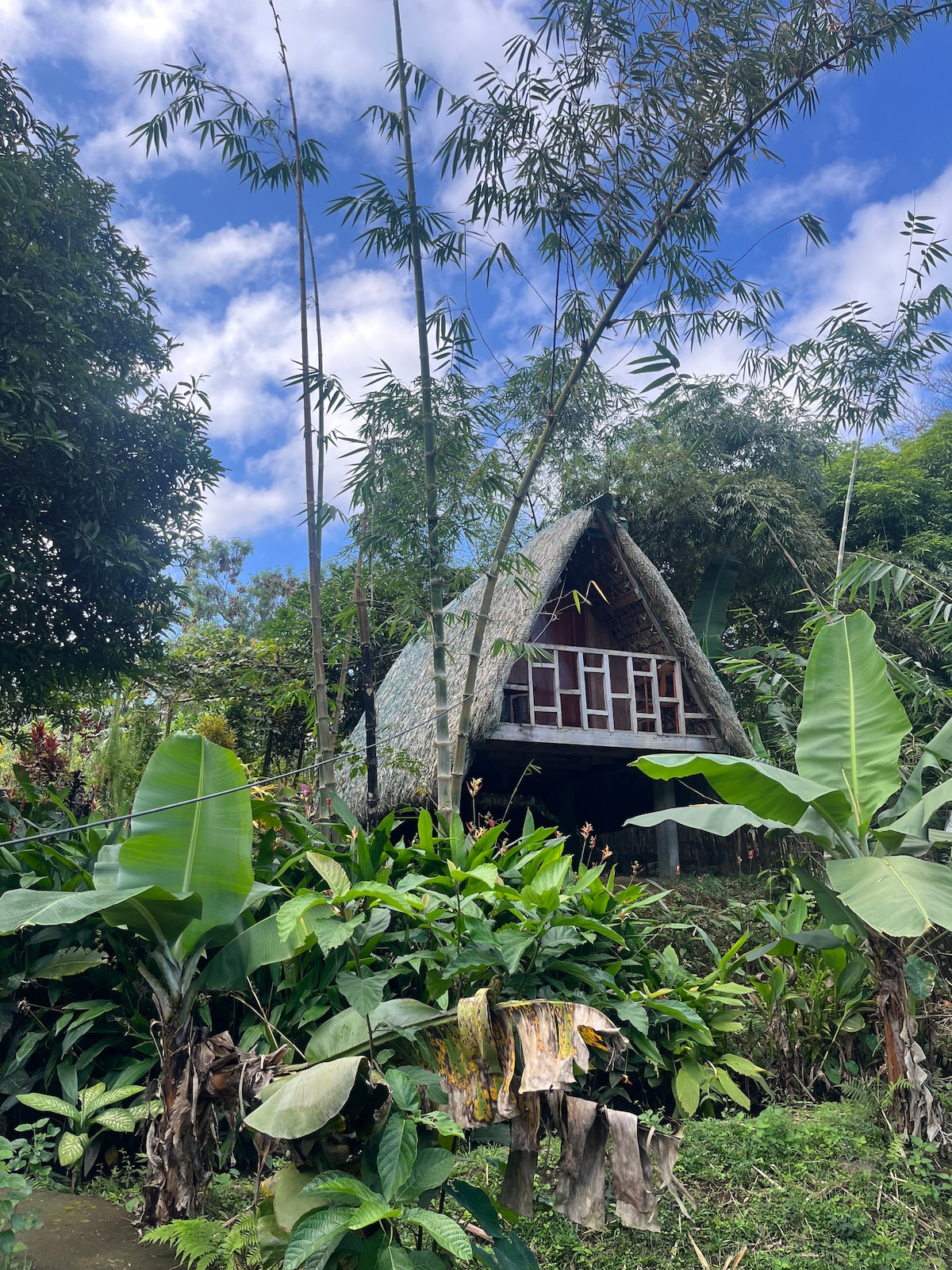 Farm Cabin and Nature Park