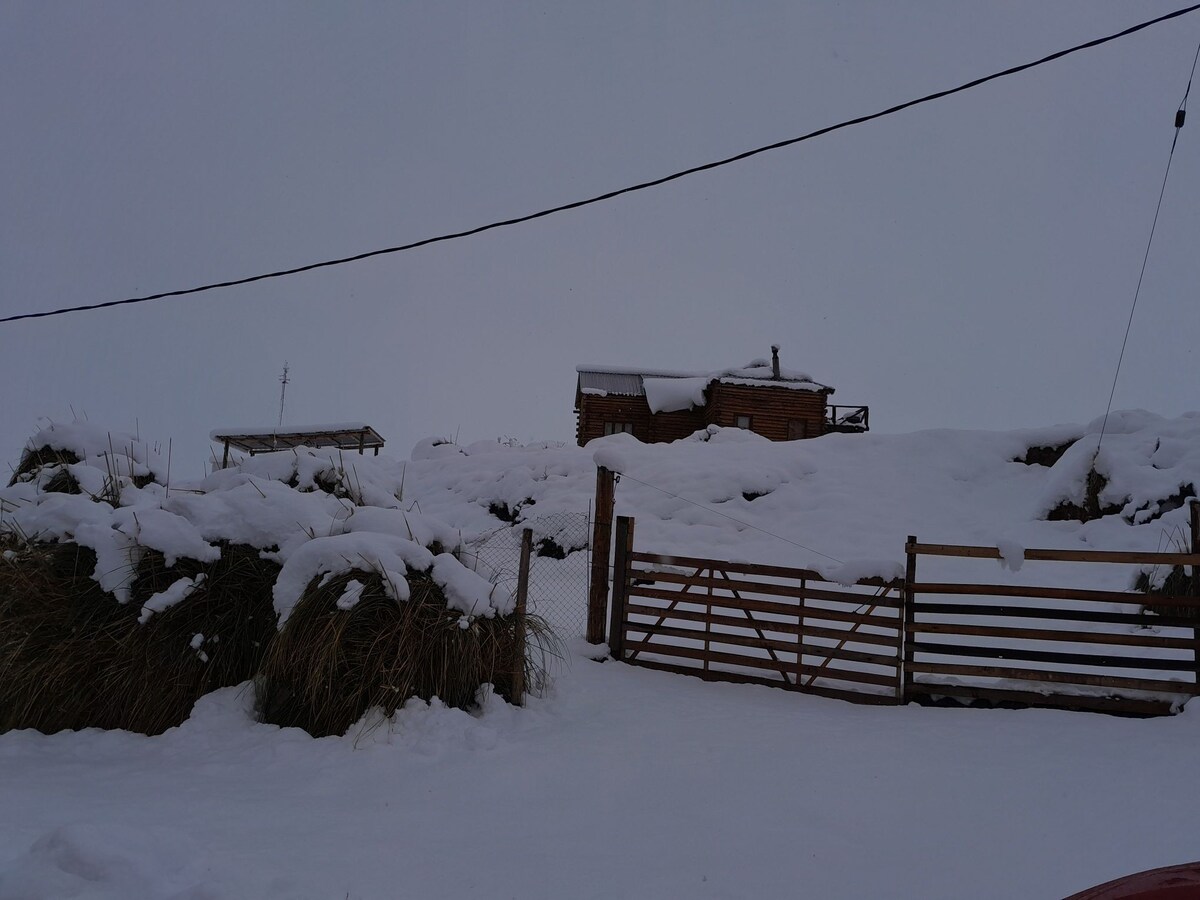 Refugio en cabaña de troncos.