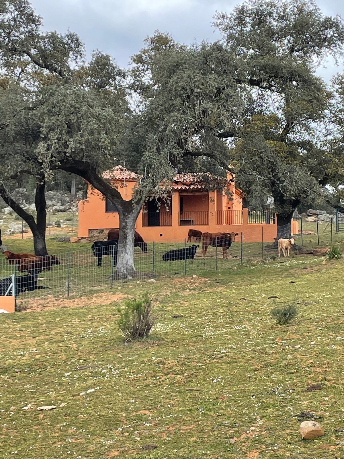 Casa de los Pinos de Navalfresno