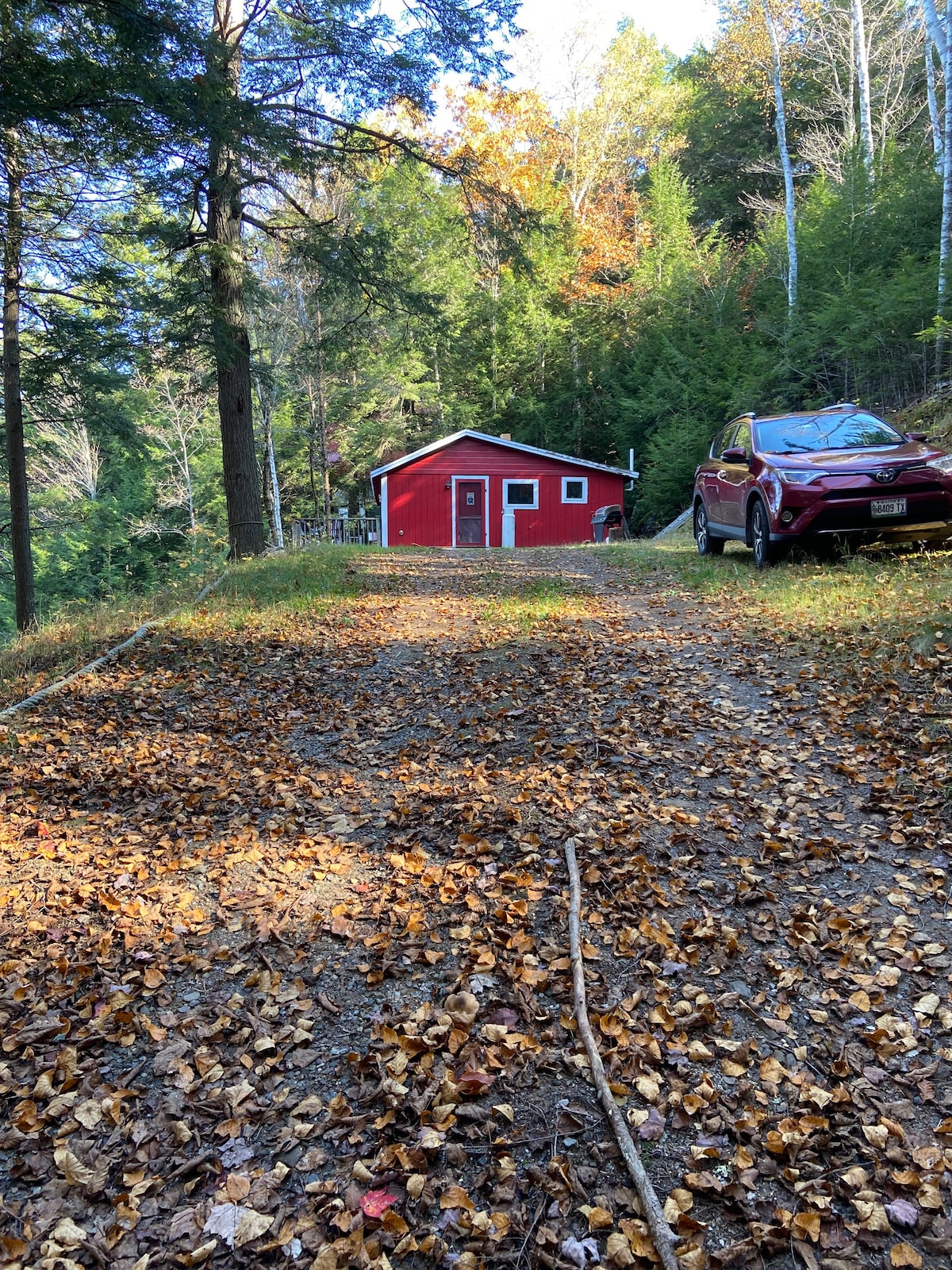 Cabin in the Cove