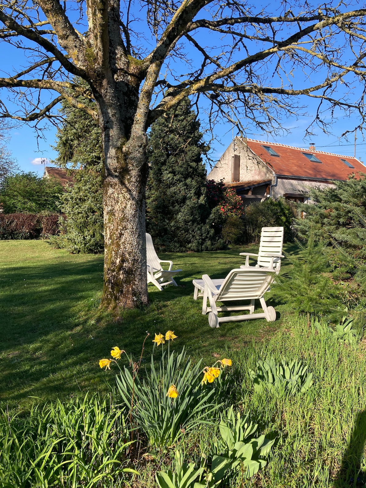 Charmante Maison avec Jardin dans le Val de Loire