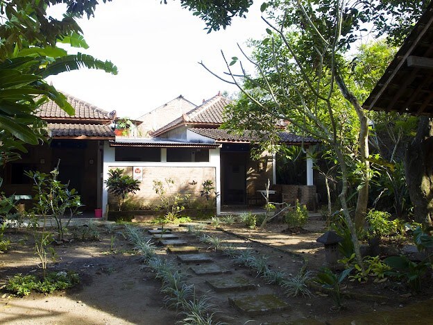 距离婆罗浮屠（ Borobudur ）和阿克米尔（ Akmil ）附近的郁金香1