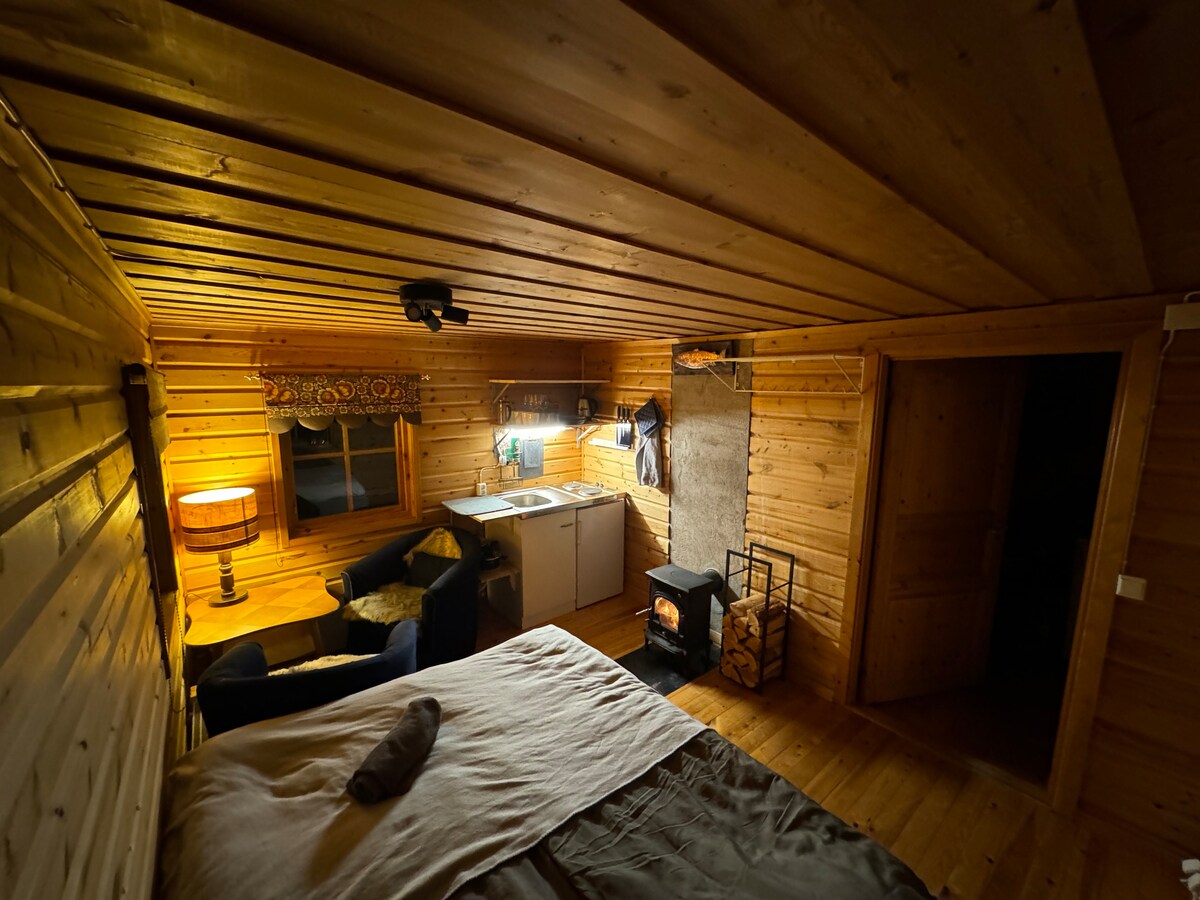 Northern Light Cabin with sauna by Torneriver