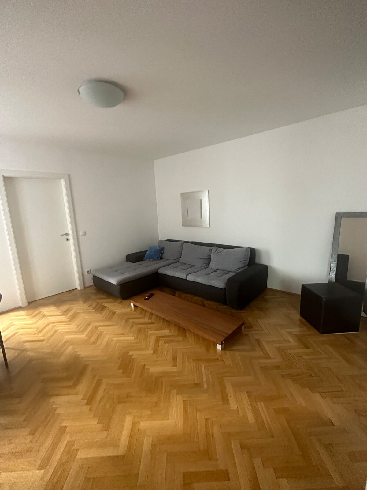 维也纳两室公寓