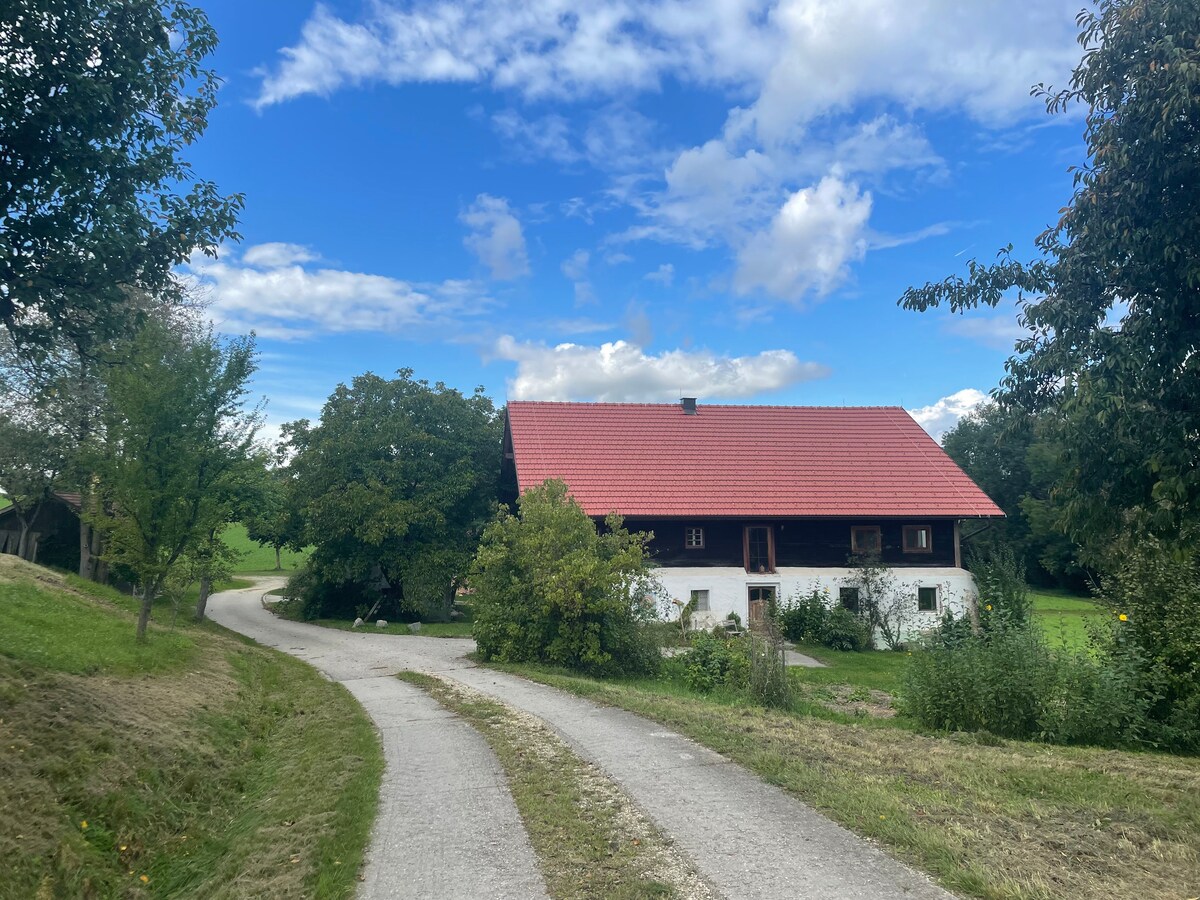 Kunsthof z ’Reischebach