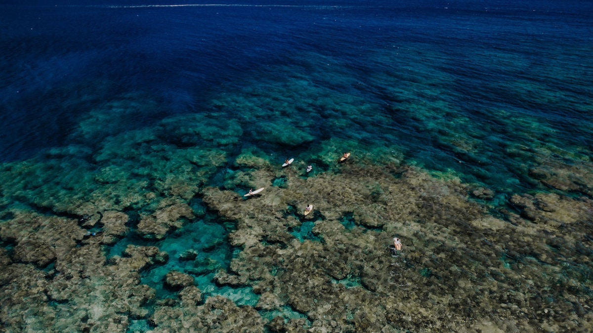沖縄の綺麗な海で冲浪と立式桨板体験