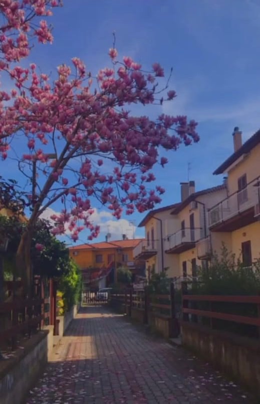 La Casina del Sole fronte lago