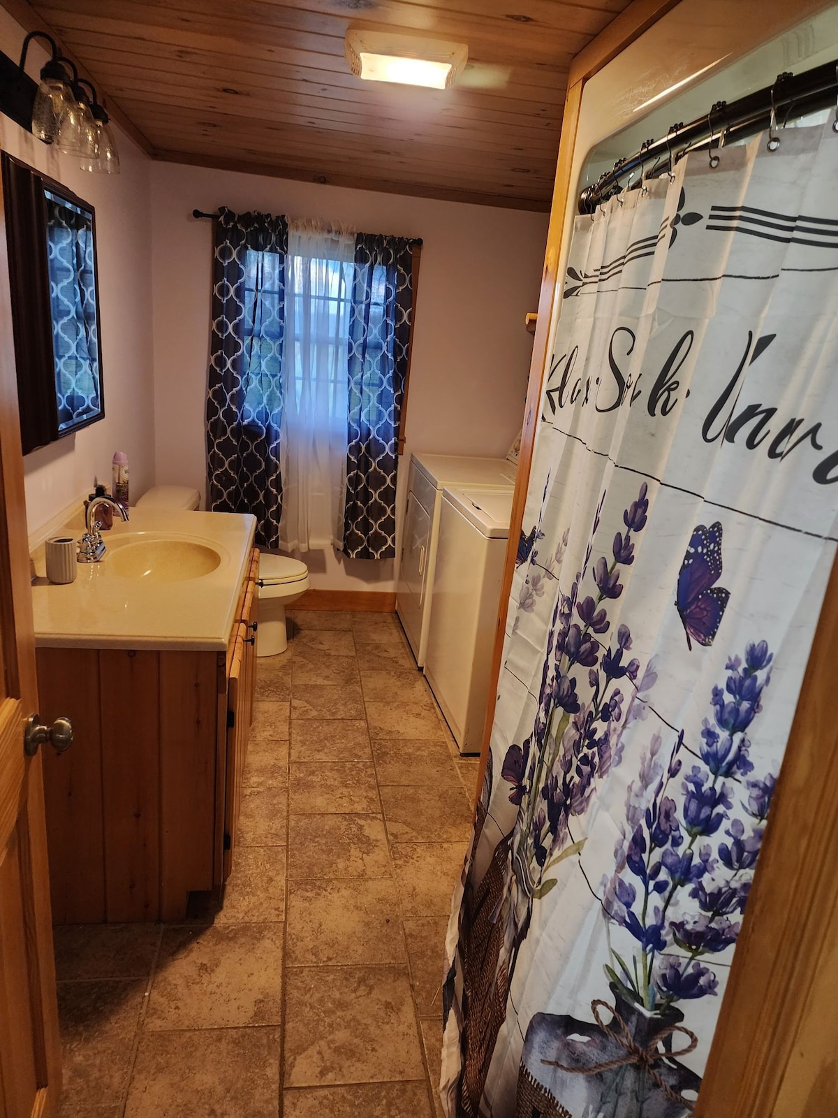 Cozy Cabin apartment near Elk Mountain!