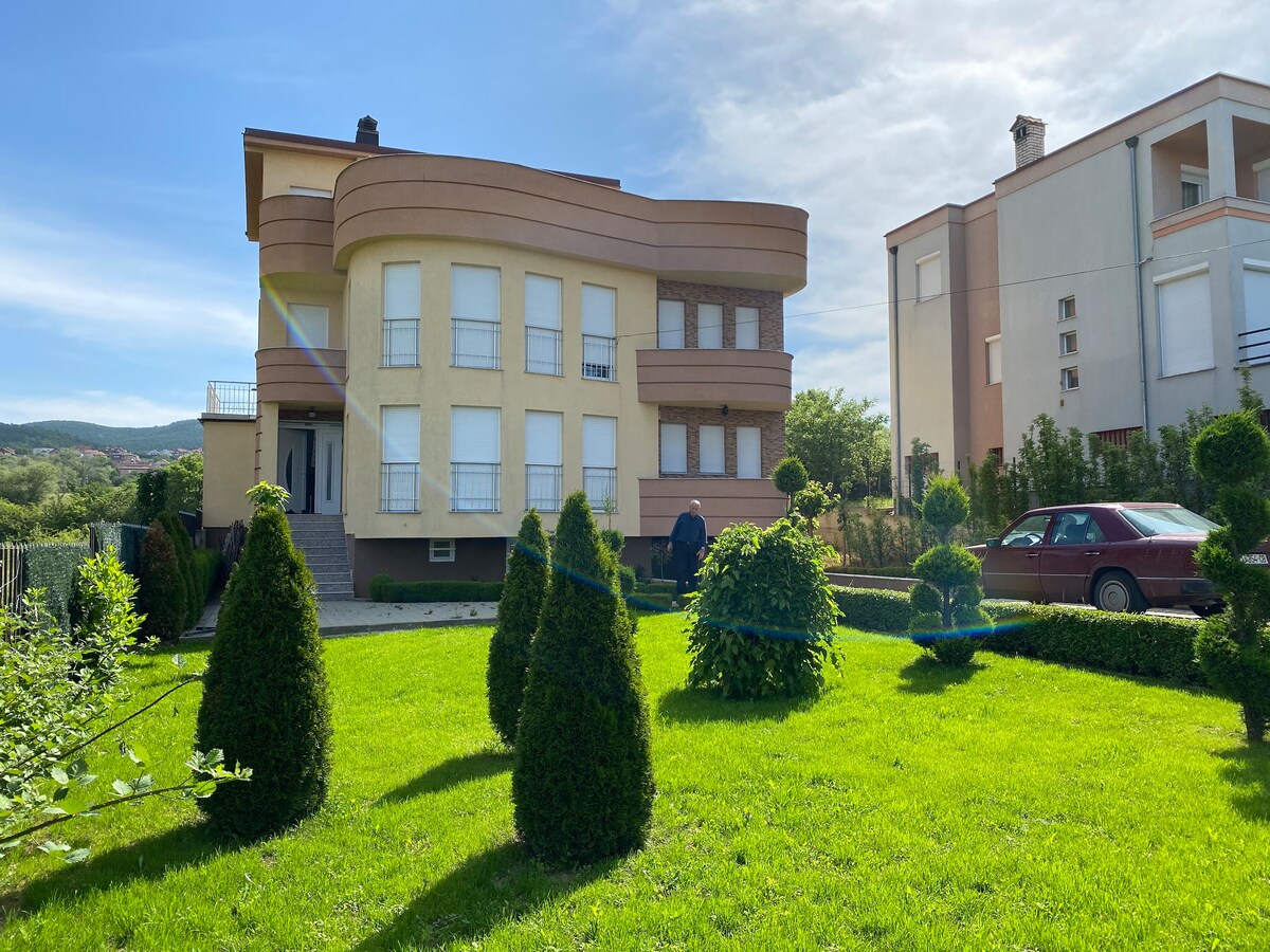 Modern House with Garden