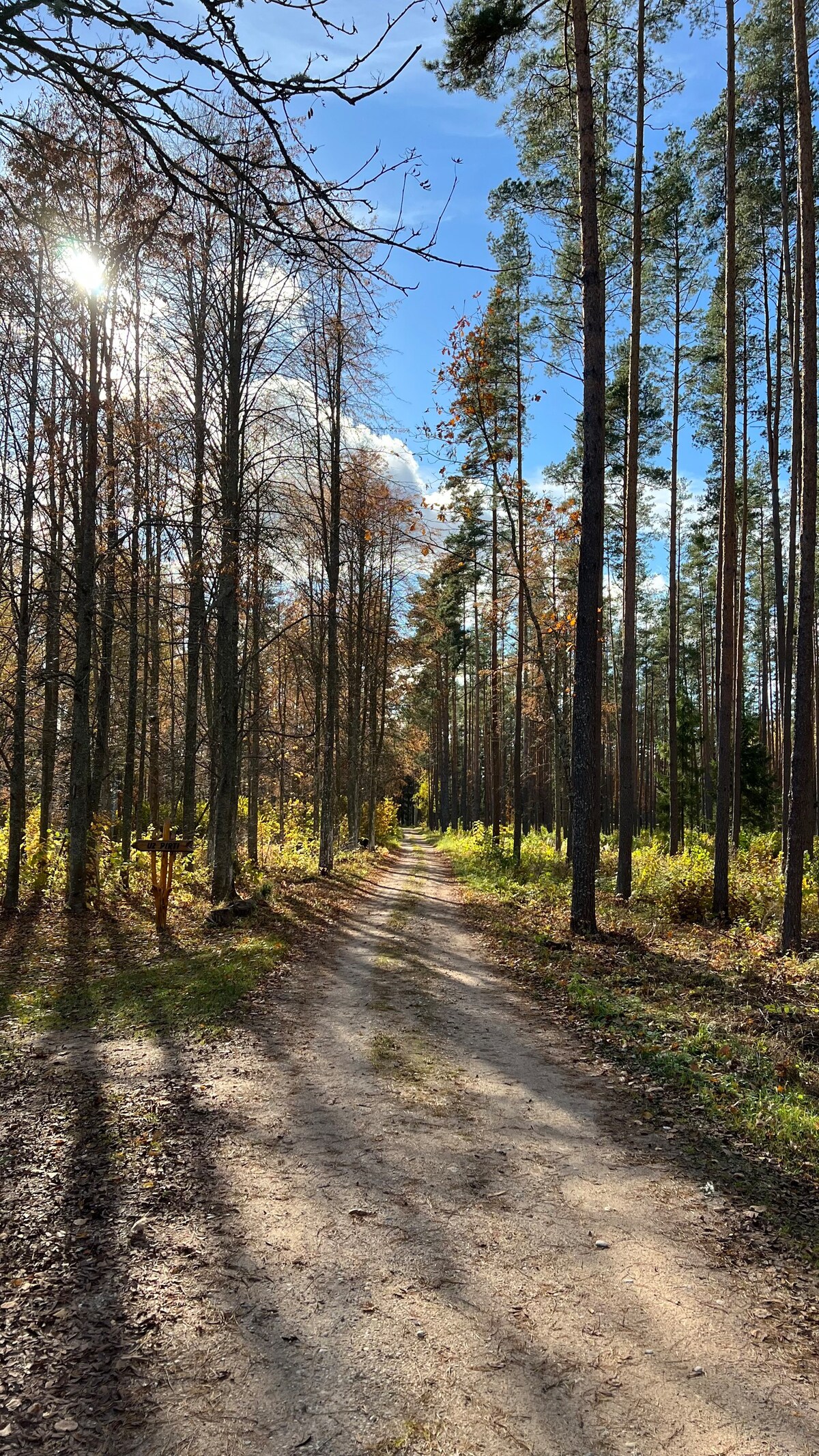 Brīvdienu māja meža ielokā.