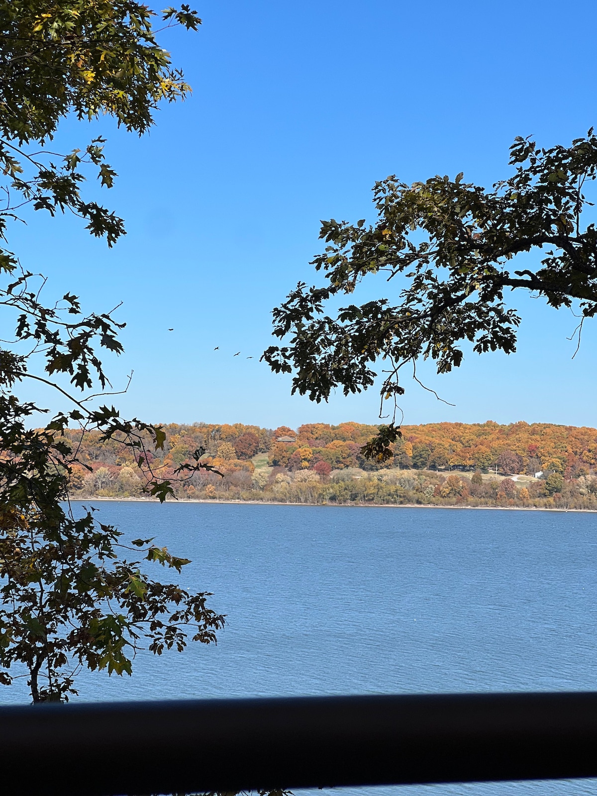 A Frames on Paradise Bluffs - #1