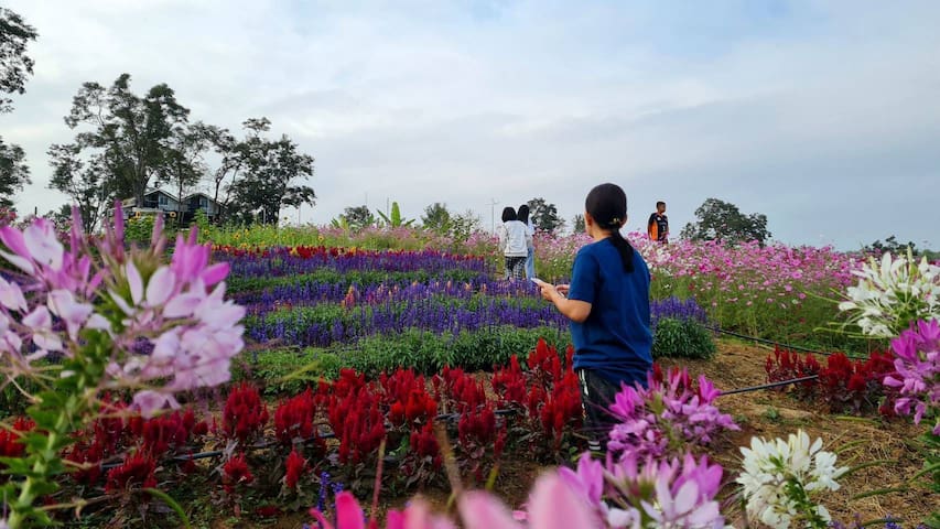 Tambon Ngio的民宿