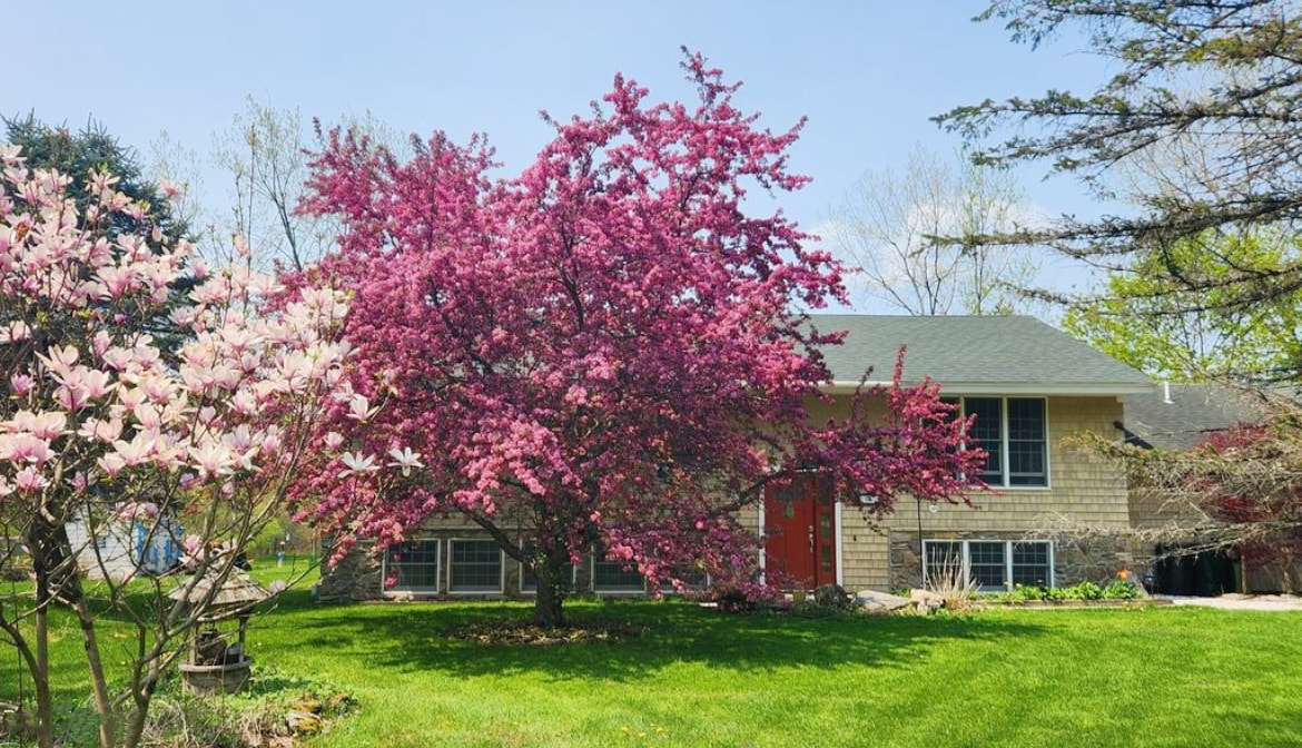 Minutes to Tanglewood with massive yard