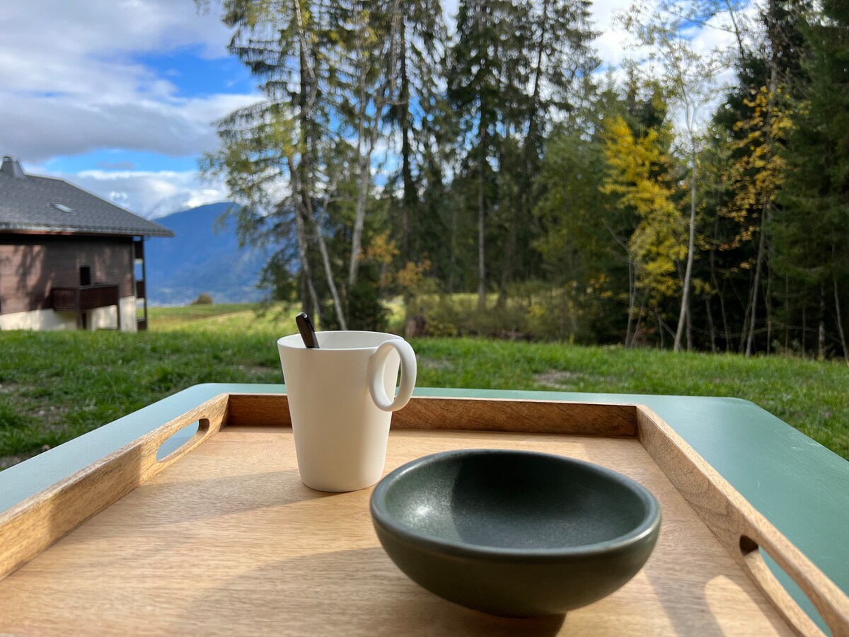 Beau rez-de-jardin NEUF et piscine vue Mont-Blanc