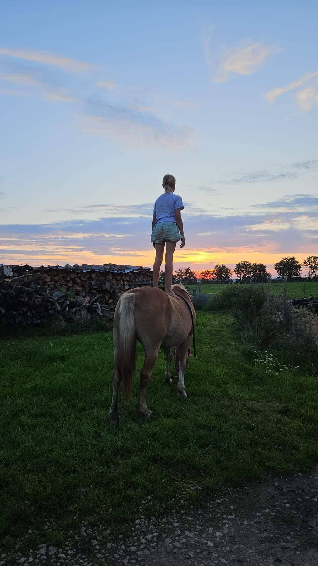 Urlaub in der Eifel Marion Moos