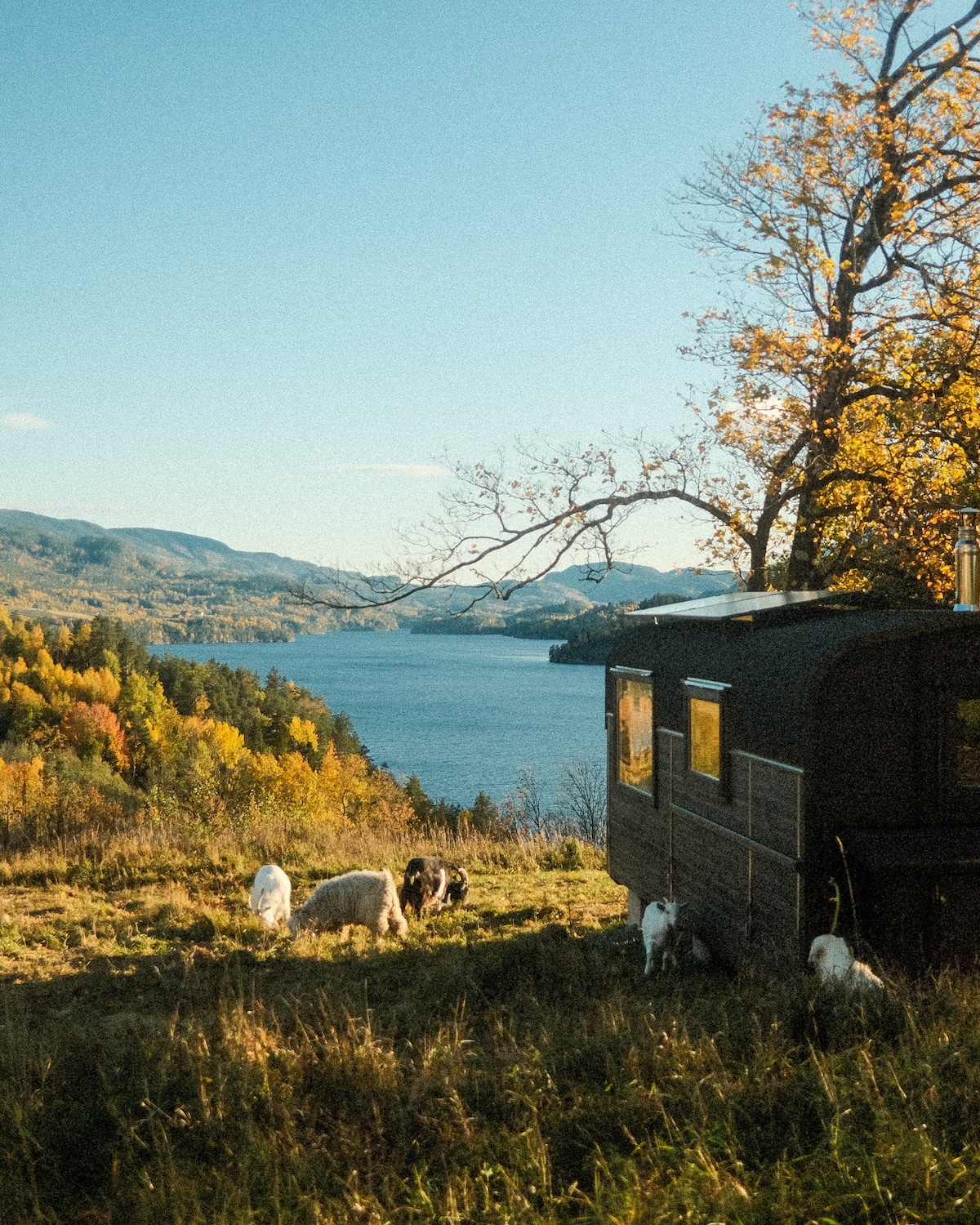 Utsikten på Syftestad Gard