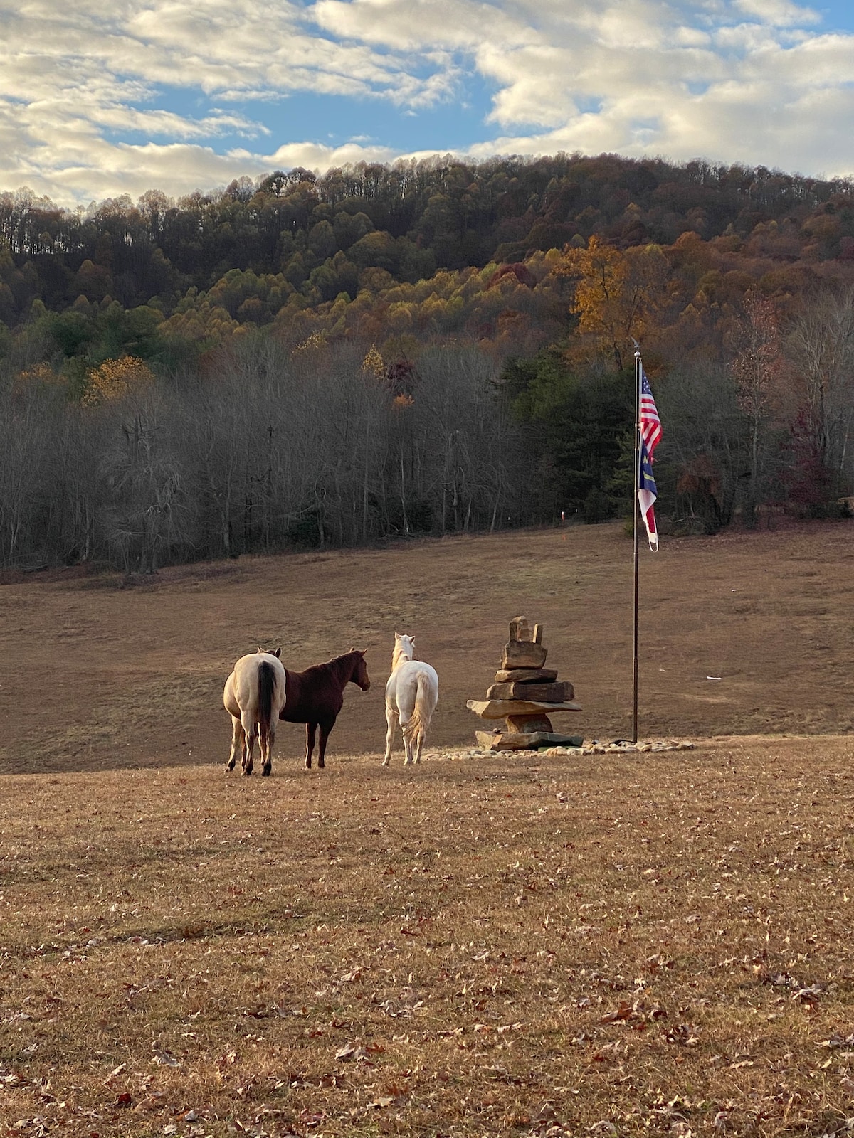 Glamper at Stacked Rock Ranch; Horse Trail Rides