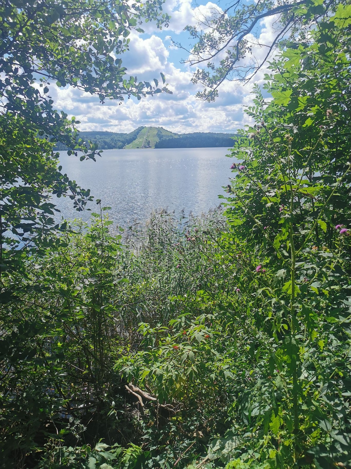 Fint rum nära till vacker natur, 28 min till T. C.