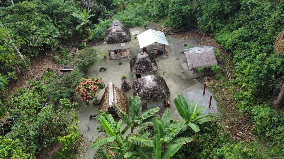 cabaña de alquiler en la selva