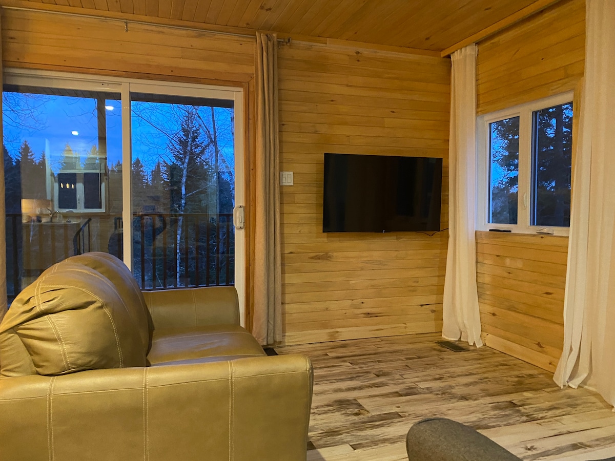 magnifique chalet dans la forêt