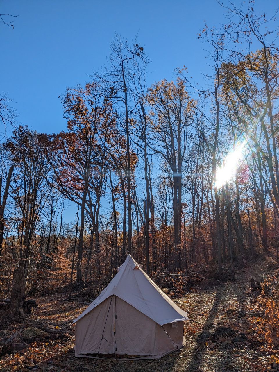 Cozy Tent in Forest for Two